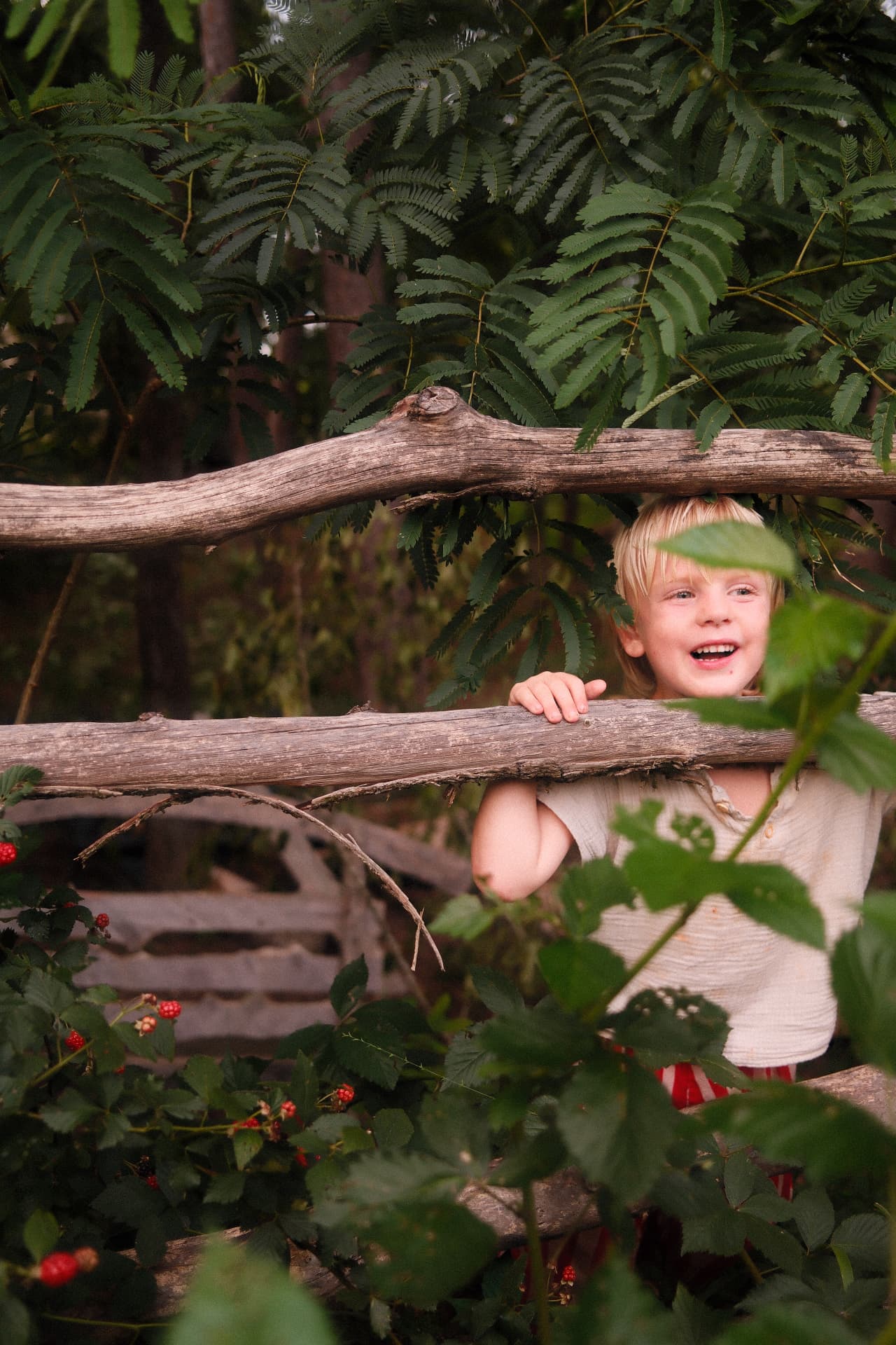 A child exploring a garden, peeking between wooden fence rails and green leaves.